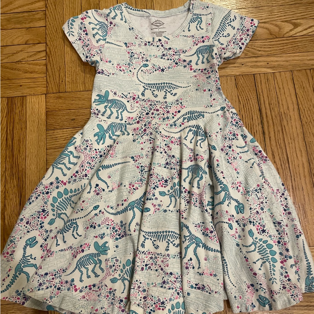 Princess Awesome dinosaur dress, size 6